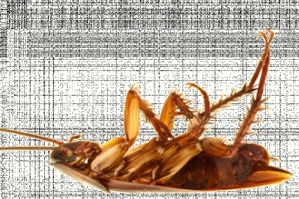 Кракен 2024 сайт